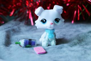 Hasbro Littlest Pet Shop Lps White Collie Blue Eyes Girl 