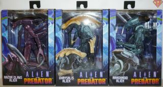 Razor Chrysalis Arachnoid Alien Vs.  Predator Arcade Series 7 " Figure Neca 2019