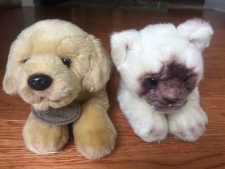 Yomiko Classics Yellow Labrador Dog And Siamese Cat Stuffed Animals / Plush Toys