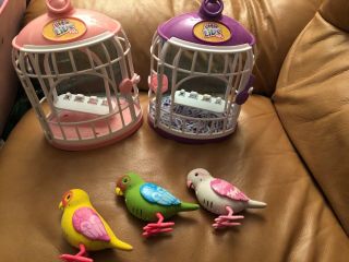 Little Live Pets - 3 Birds With Cage Parakeet White Green Yellow Bird
