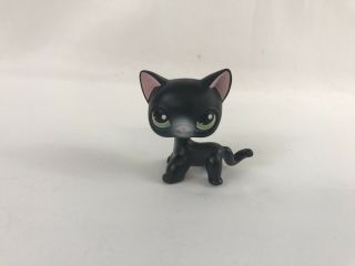 Littlest Pet Shop Lps Black Shorthair Cat 336 Green Eyes Siamese Kitty