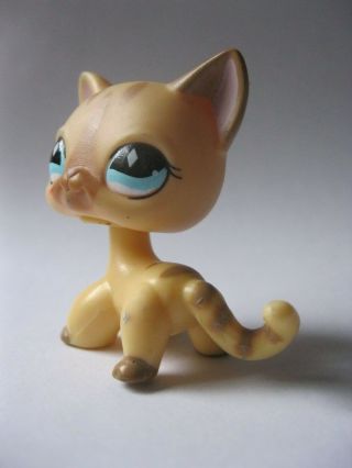 Cat With Aqua Eyes Stamped Hasbro 2006 Littlest Pet Shop About 2 Inches Tall Lps