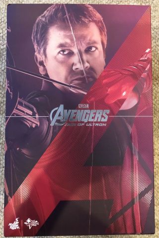 Hot Toys Avengers 2 Age Of Ultron Hawkeye Jeremy Renner 1/6 Figure 100 Complete