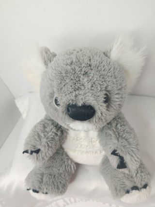 Cute Stuffed Grey Koala Bear From Australia Zoo