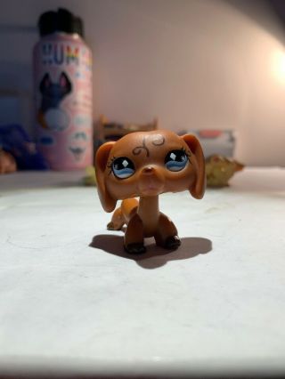 Lps Dachshund Authentic640 (on Hold For Lpsgoldenfoxlover)