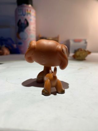 lps dachshund authentic640 (On Hold For LpsGoldenFoxLover) 2