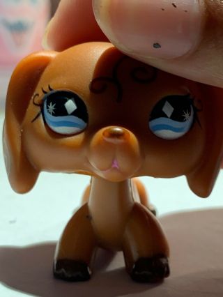 lps dachshund authentic640 (On Hold For LpsGoldenFoxLover) 5