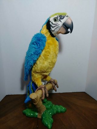 2006 Hasbro Parrot Squawkers Mccaw No Controller Furreal Friends -
