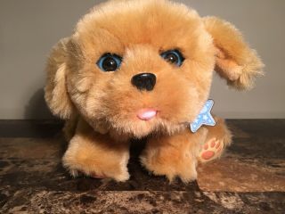 Little Live Pets Snuggles My Dream Puppy Interactive Toy Dog No Bottle