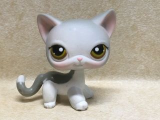 Littlest Pet Shop Lps 138 Cat Gray White With Brown Green Dot Eyes