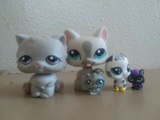 Lps,  Littlest Pet Shop,  5 Cats,  Grey And White,  Big And Mini -