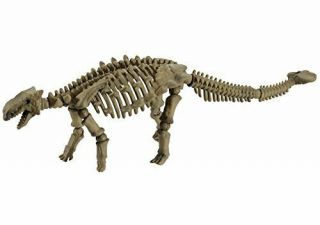 Pose Skeleton Dinosaur Series 106 Ankylosaurus