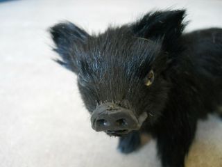 Black Pig Boar Figurine Soft & Fluffy Fur (rabbit Goat) Hard Plastic Swine