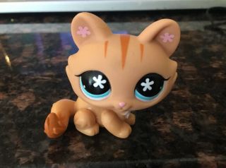 Littlest Pet Shop - Crouching Cat Kitten - 649 - Orange - Blue Flower Eyes - Lps