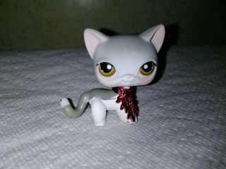 Lps Cat Shorthair 138 Gray White W Brown Eyes Red Magnet Guc Authentic