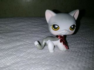 LPS Cat Shorthair 138 Gray White w Brown Eyes red magnet guc Authentic 3