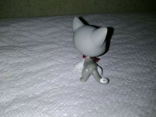 LPS Cat Shorthair 138 Gray White w Brown Eyes red magnet guc Authentic 4