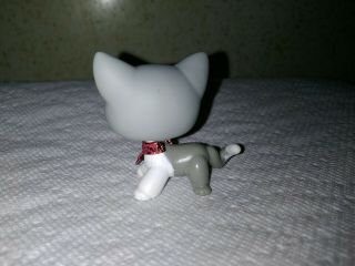 LPS Cat Shorthair 138 Gray White w Brown Eyes red magnet guc Authentic 5