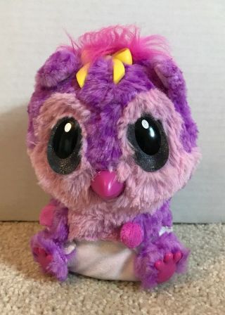 Hatchimals Hatchibabies Pink Purple Girl Chipadee Amazon Exclusive
