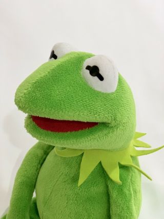 2013 Kermit The Frog 16 