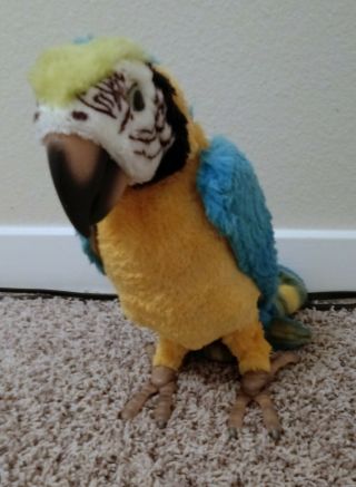 Furreal Squawkers Mccaw Talking Parrot From Hasbro (bird Only)