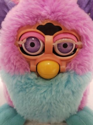 Tiger 1999 70 - 940 Furby Babies Purple And Blue Pink Ears Not 8