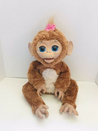 Furreal Friends Cuddles My Giggly Monkey 2012 Hasbro Brown Interactive Toy Doll