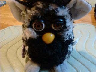 1999 Baby Furby Black And White