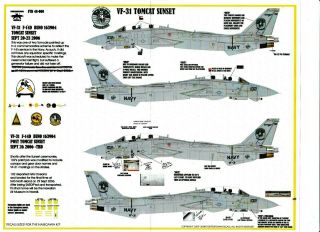 Fightertown 1/48 F - 14D Special D ' s: VX - 30,  VF - 31 Tomcat Sunset 48008, 3