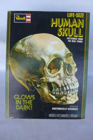 Vintage Revell Life - Size Human Skull Glow In The Dark Model Kit H - 904