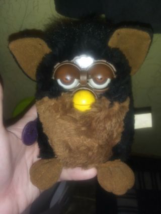 Vintage 1999 Black And Brown Furby With Tags Model 70 - 800