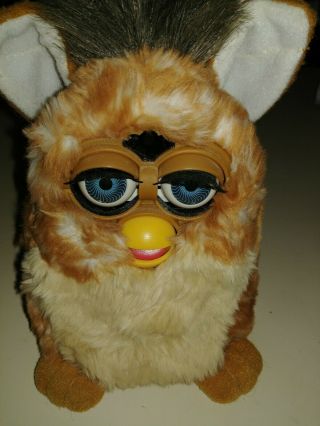 1998 Two Tone Brown Furby By Tiger Electronics