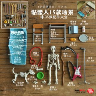 Movable Mr.  Bones Skeleton Human Model Set Come With 50 Accessories Dog Guitar