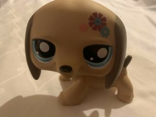 Brown Puppy Dog The Littlest Pet Shop Collectible Toy Figure 5 Inch Size