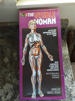 Vintage The Visible Woman Revell 1977 Model Kit Pregnancy H - 901