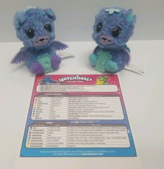 Hatchimals Twins Blue And Purple Peacat Interactive Toy Surprise Hatched