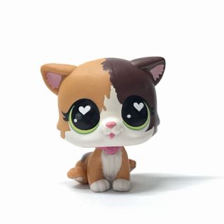 Hasbro Littlest Pet Shop Felina Meow Cat 339 Brown White Kitten Toy Doll Gift