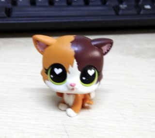 Hasbro LITTLEST PET SHOP FELINA MEOW Cat 339 Brown White Kitten Toy Doll Gift 2