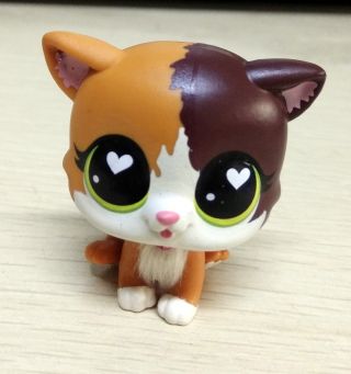 Hasbro LITTLEST PET SHOP FELINA MEOW Cat 339 Brown White Kitten Toy Doll Gift 5