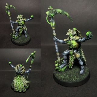 Warhammer 40k Necron Overlord Pro Painted
