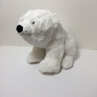 Polar Bear Plush Stuffed Animal Kohl 