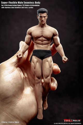 1/12 Tbleague Tm02a Muscle Male Seamless Body 6  Seamless Figure Model