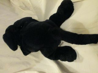 Plush BLACK LABRADOR PUPPY Dog Puppet 2274 Black Lab Folkmanis Puppet 4