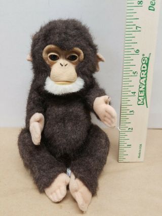 Hasbro Furreal Fur Real Friends Bornchimp Chimpanzee Furreal Baby Monkey