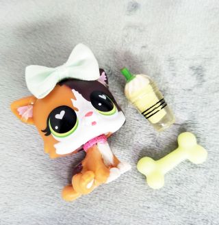 Hasbro Littlest Pet Shop LPS Short Hair Cat With Heart - shaped Eyes Very Rare 2