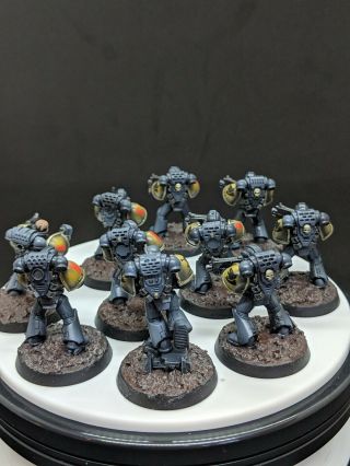 Warhammer 40k Space Wolves tactical squads grey hunters Well Painted 2
