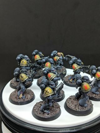 Warhammer 40k Space Wolves tactical squads grey hunters Well Painted 3