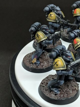 Warhammer 40k Space Wolves tactical squads grey hunters Well Painted 4
