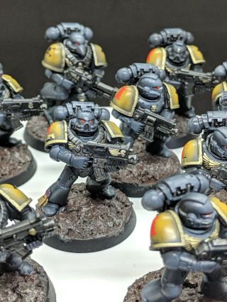 Warhammer 40k Space Wolves tactical squads grey hunters Well Painted 6