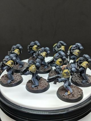 Warhammer 40k Space Wolves tactical squads grey hunters Well Painted 7